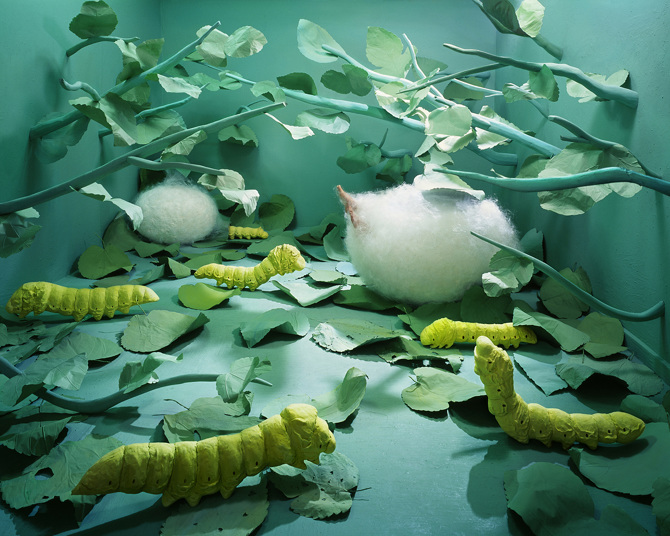JeeYoung Lee (지영리, 이지영) - Birthday (2009)