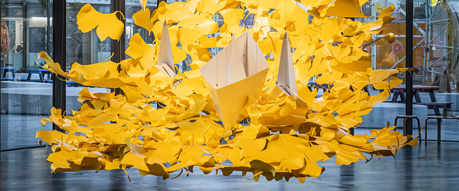 JeeYoung Lee — Maiden Voyage