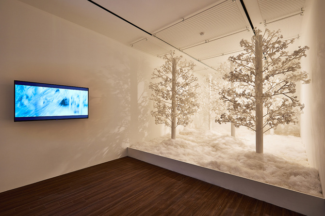 JeeYoung Lee (지영리, 이지영) - The Last Unflowering Tree (2021)