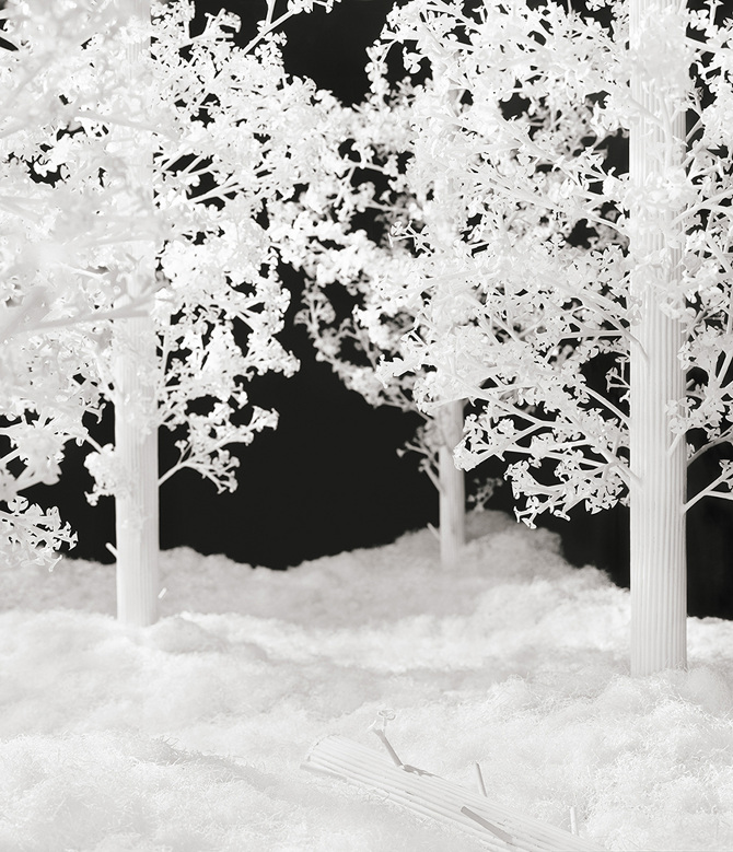 JeeYoung Lee (지영리, 이지영) - The Last Unflowering Tree: A Quiet End (2021)