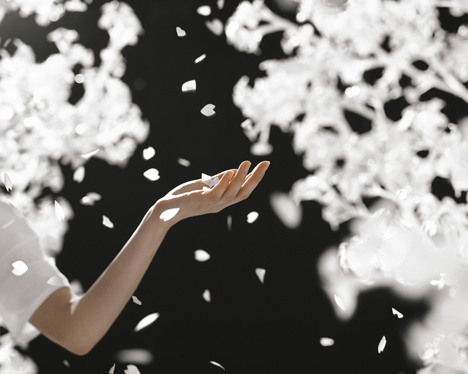 JeeYoung Lee (지영리, 이지영) - The Last Unflowering Tree: Dancing Petals (2021)