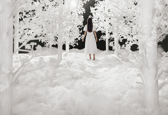 JeeYoung Lee (지영리, 이지영) - The Last Unflowering Tree: Lost Between the Trees (2021)