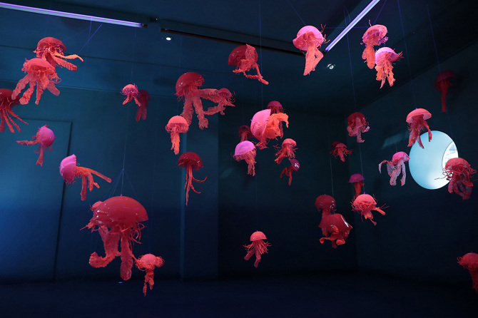 JeeYoung Lee — Novacène