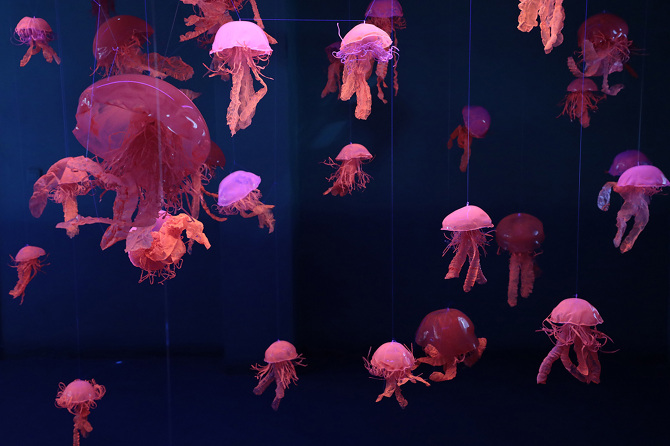 JeeYoung Lee — Novacène