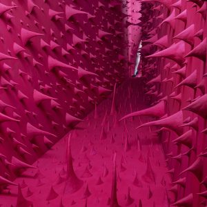 La Vie En Rose II