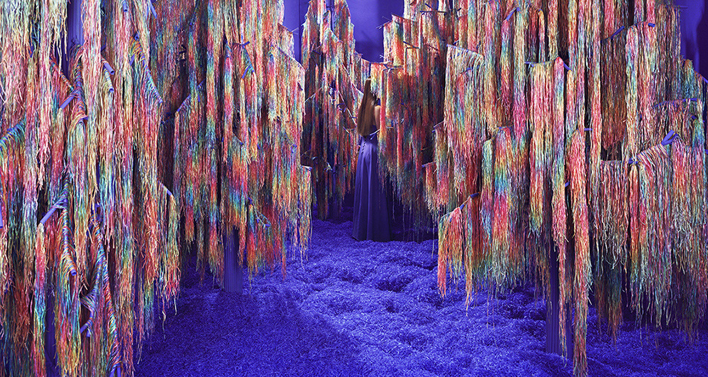 Wishing Tree