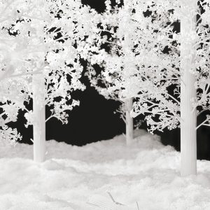 The Last Unflowering Tree: A Quiet End