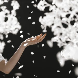 The Last Unflowering Tree: Dancing Petals