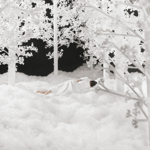 The Last Unflowering Tree: Fallen Into the Woods