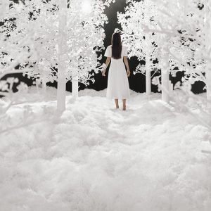 The Last Unflowering Tree: Lost Between the Trees