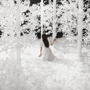 The Last Unflowering Tree: Watcher