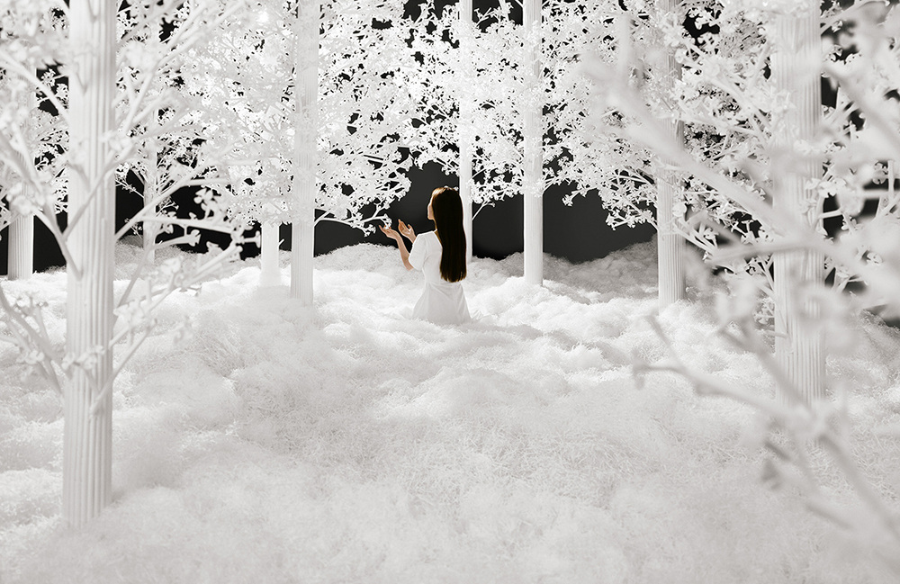 The Last Unflowering Tree: Dream's Portal