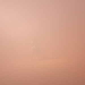 Encounter