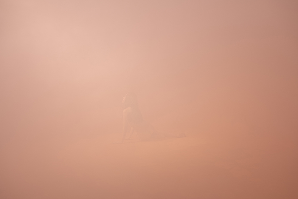 Encounter