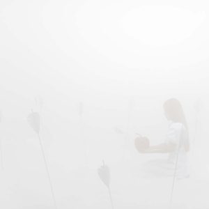 Fragile Days