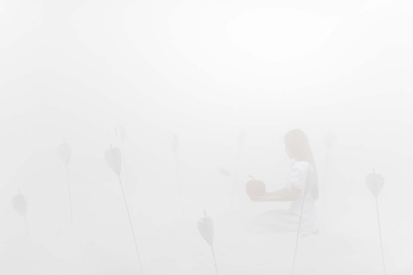 Fragile Days