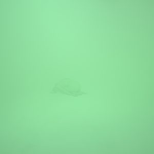 Swamp