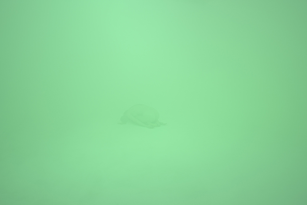 Swamp