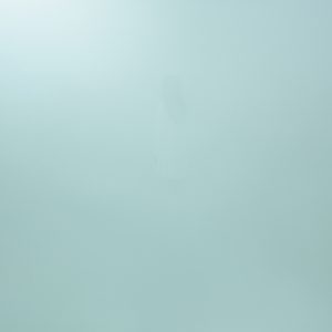 What Do You See